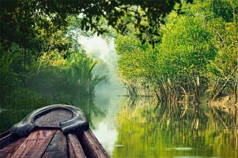 Pic of the Sundarbans, Bay of Bengal.
